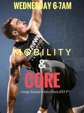 Alchemy’s Mobility & Core poster: a promotional image featuring a person stretching.
