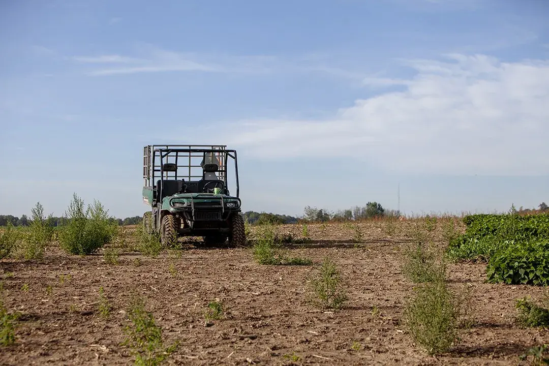 A farm vehicle out in the field