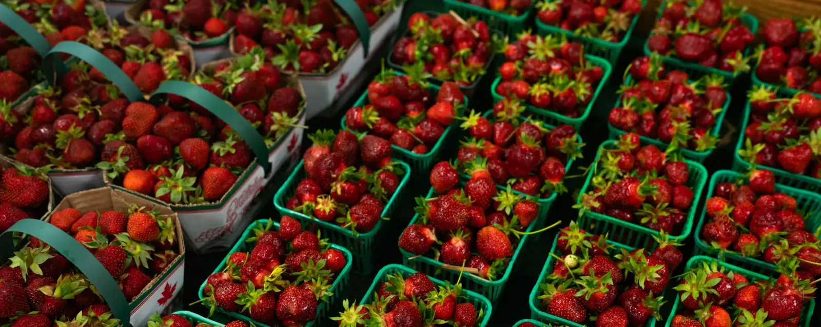 Strawberries in green market baskets